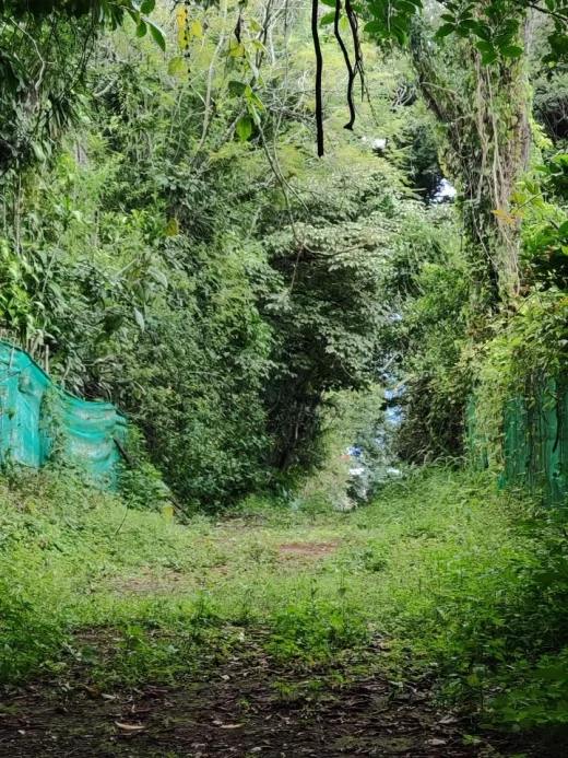 Venta de lote en zona franca Saret